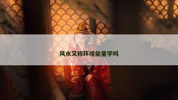 风水又称环境能量学吗