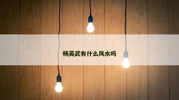 杨英武有什么风水吗