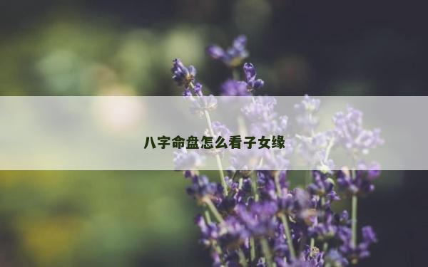 八字命盘怎么看子女缘