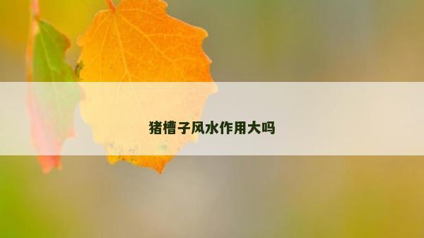 猪槽子风水作用大吗