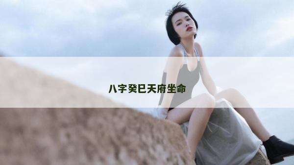 八字癸巳天府坐命