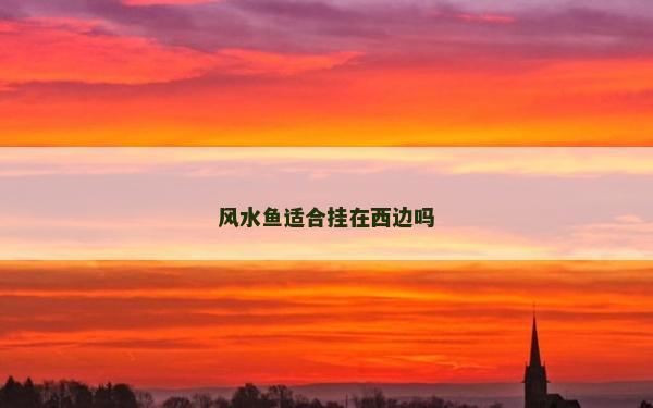 风水鱼适合挂在西边吗