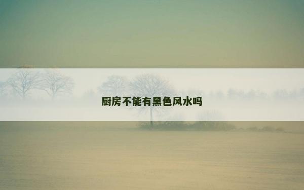 厨房不能有黑色风水吗