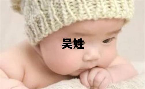 吴姓大气文雅的女孩名字,取什么名字好