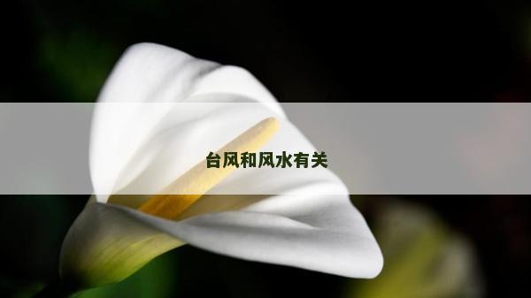 台风和风水有关