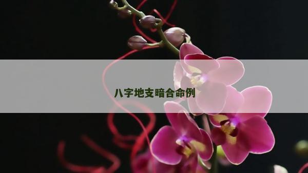八字地支暗合命例