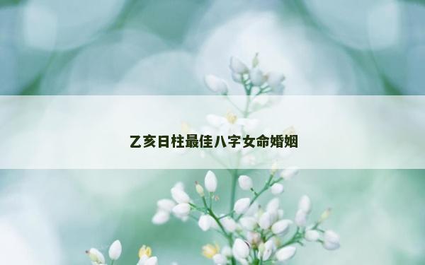乙亥日柱最佳八字女命婚姻
