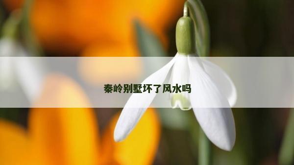 秦岭别墅坏了风水吗