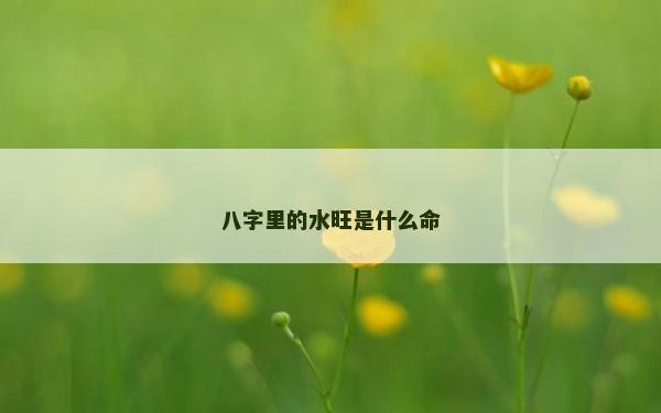 八字里的水旺是什么命
