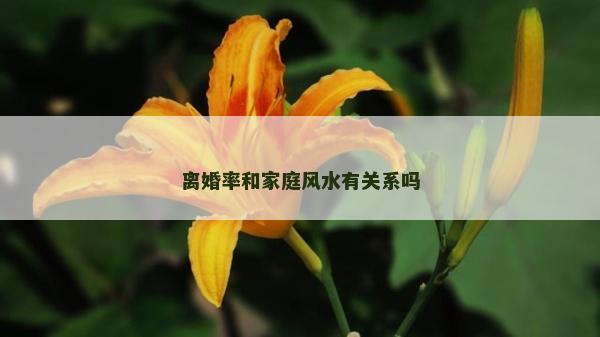 离婚率和家庭风水有关系吗