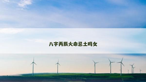 八字丙辰火命忌土吗女