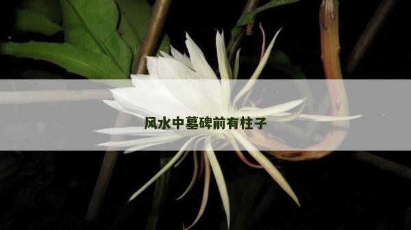 风水中墓碑前有柱子