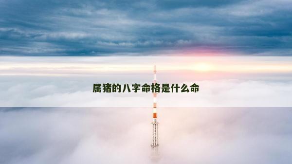 属猪的八字命格是什么命