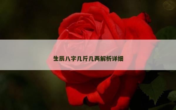 生辰八字几斤几两解析详细