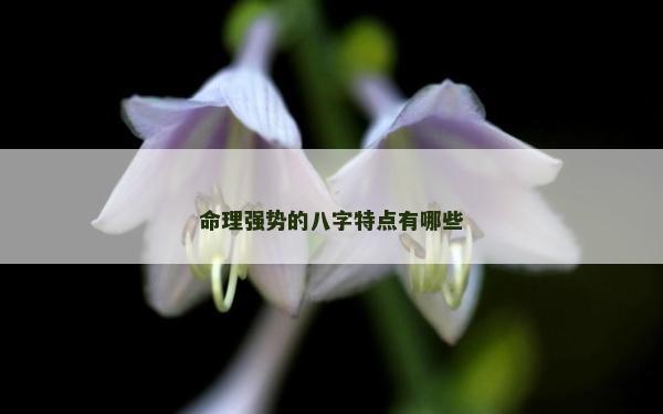 命理强势的八字特点有哪些