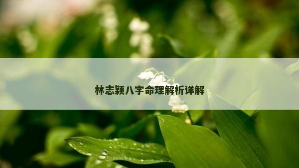 林志颖八字命理解析详解