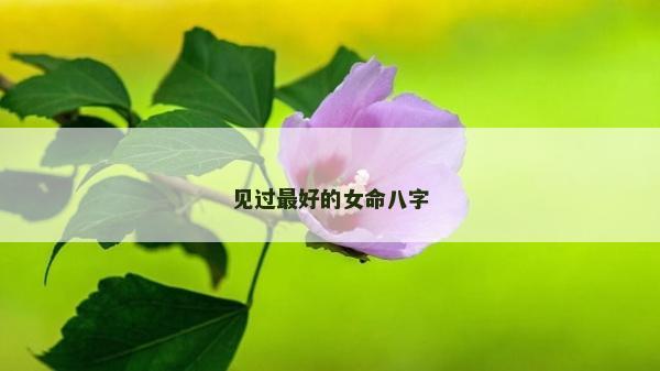 见过最好的女命八字