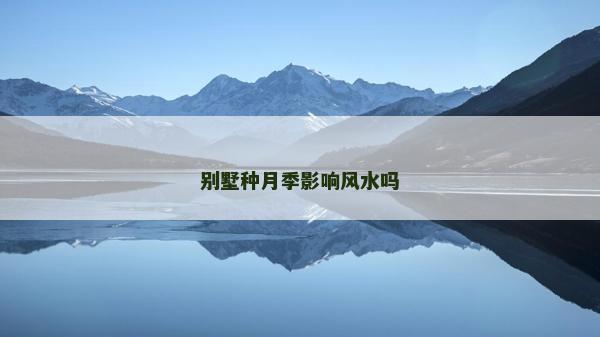 别墅种月季影响风水吗
