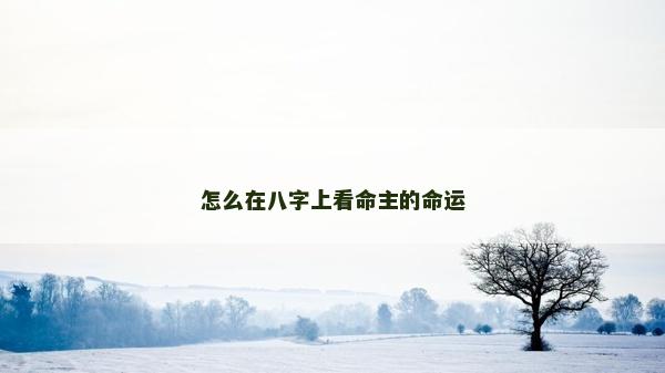 怎么在八字上看命主的命运