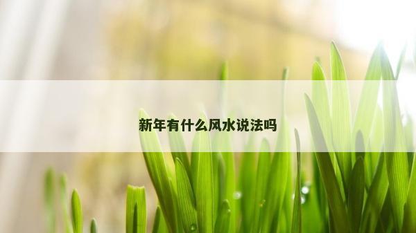 新年有什么风水说法吗