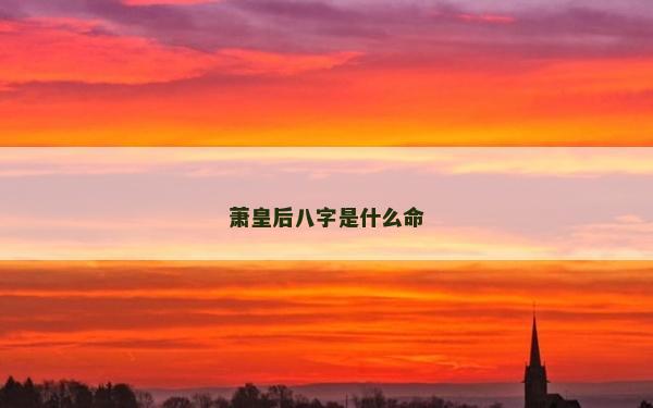 萧皇后八字是什么命