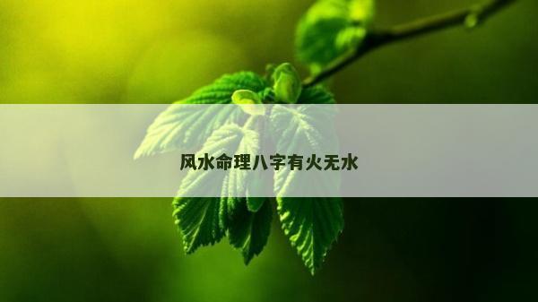 风水命理八字有火无水