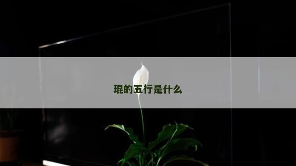 琨的五行是什么