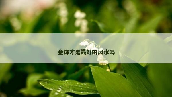 金饰才是最好的风水吗