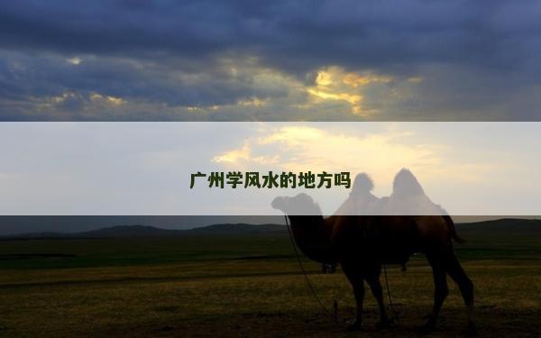 广州学风水的地方吗