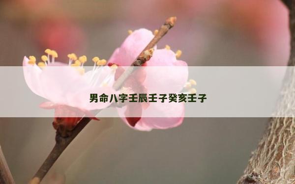 男命八字壬辰壬子癸亥壬子