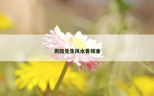 阴阳先生风水看得准