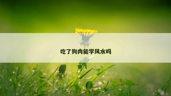 吃了狗肉能学风水吗