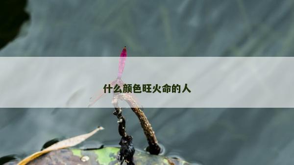 什么颜色旺火命的人