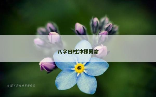 八字日柱冲禄男命