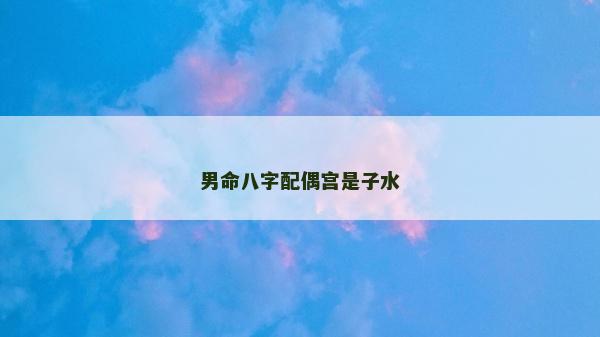 男命八字配偶宫是子水