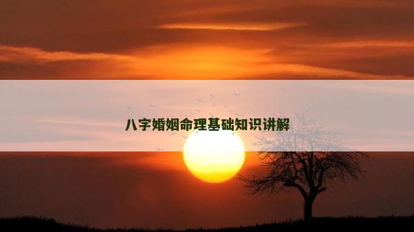 八字婚姻命理基础知识讲解