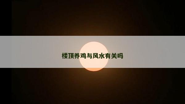 楼顶养鸡与风水有关吗