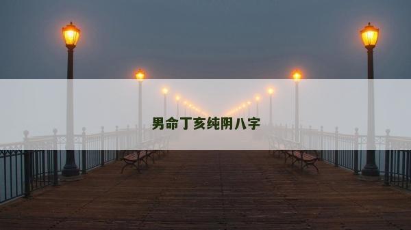 男命丁亥纯阴八字