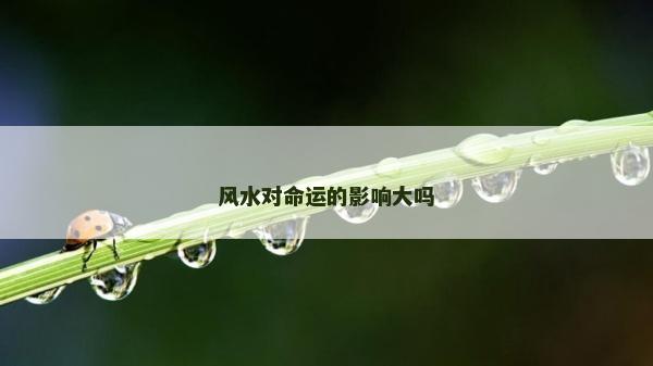 风水对命运的影响大吗