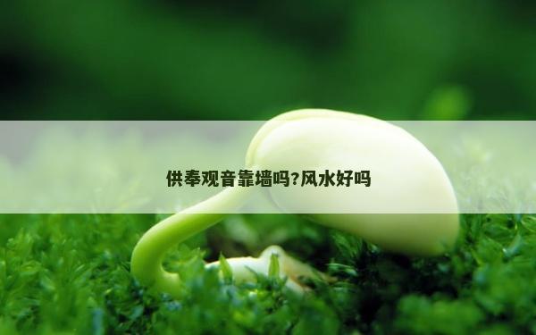 供奉观音靠墙吗?风水好吗