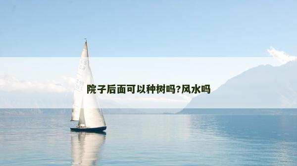 院子后面可以种树吗?风水吗