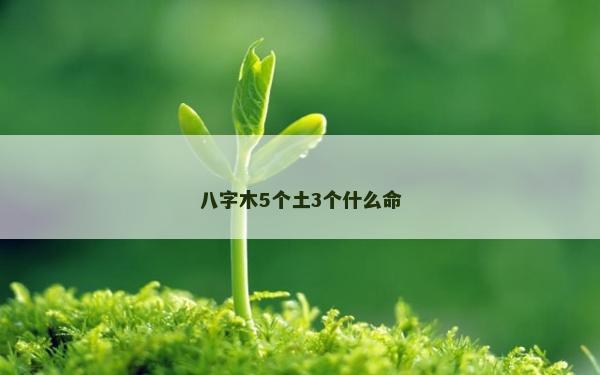 八字木5个土3个什么命