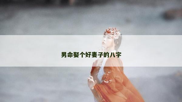 男命娶个好妻子的八字