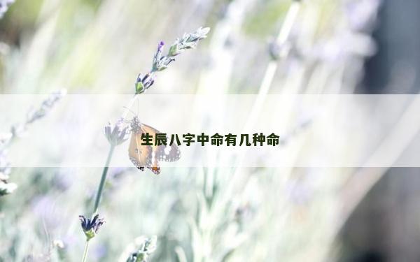 生辰八字中命有几种命