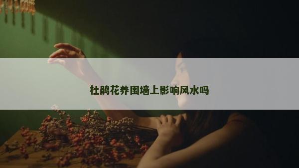 杜鹃花养围墙上影响风水吗