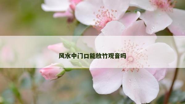 风水中门口能放竹观音吗