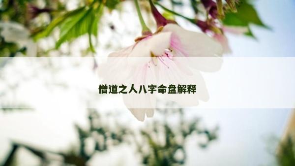 僧道之人八字命盘解释