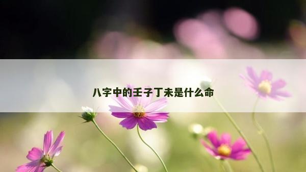 八字中的壬子丁未是什么命