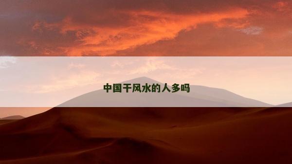中国干风水的人多吗