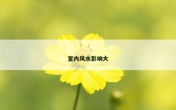 室内风水影响大